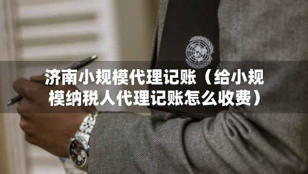 济南小规模代理记账（给小规模纳税人代理记账怎么收费）