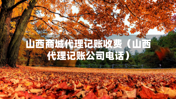 山西商城代理记账收费（山西代理记账公司电话）