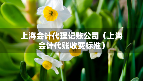 上海会计代理记账公司（上海会计代账收费标准）