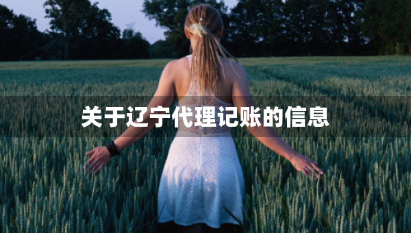 关于辽宁代理记账的信息