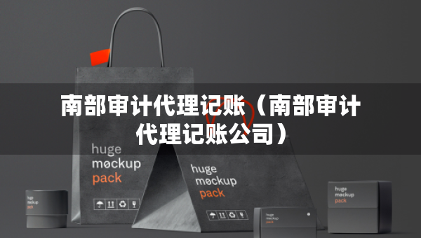 南部审计代理记账（南部审计代理记账公司）