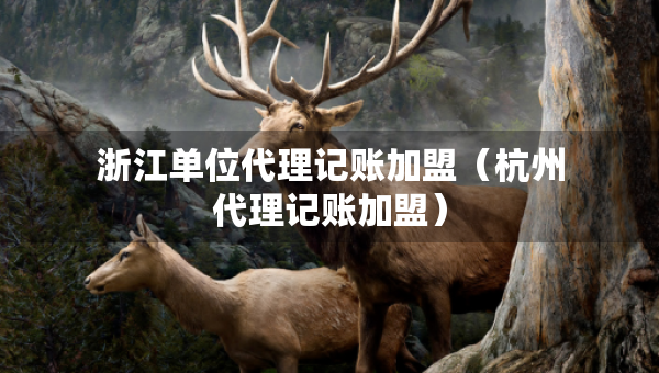 浙江单位代理记账加盟（杭州代理记账加盟）