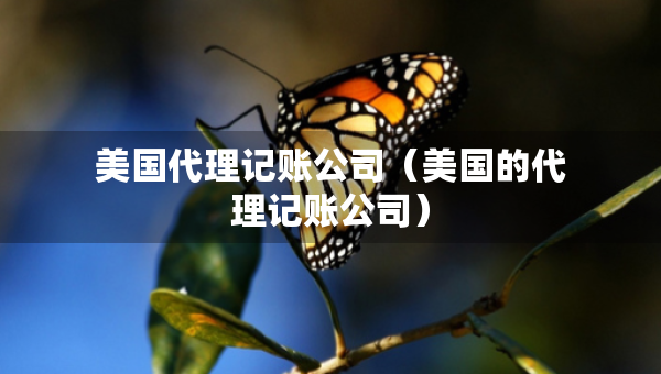 美国代理记账公司（美国的代理记账公司）