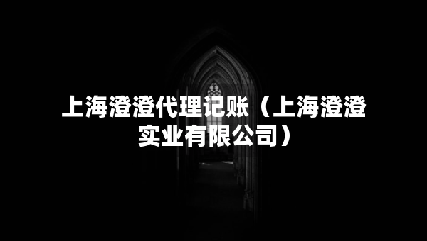 上海澄澄代理记账（上海澄澄实业有限公司）