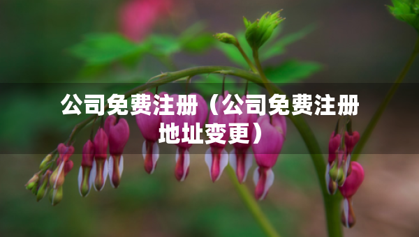 公司免费注册（公司免费注册地址变更）