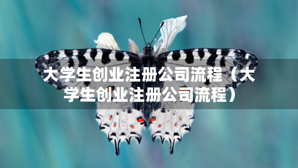 大学生创业注册公司流程（大学生创业注册公司流程）