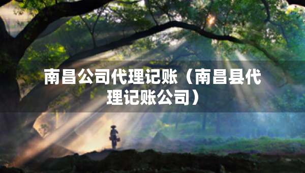 南昌公司代理记账（南昌县代理记账公司）