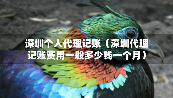 深圳个人代理记账（深圳代理记账费用一般多少钱一个月）