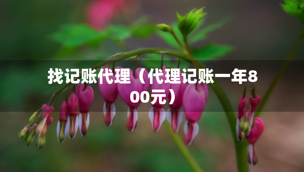 找记账代理（代理记账一年800元）