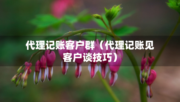 代理记账客户群（代理记账见客户谈技巧）