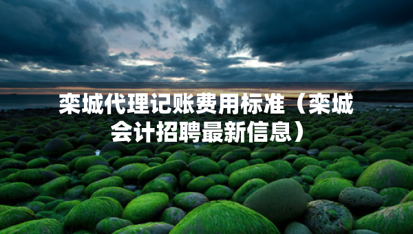 栾城代理记账费用标准（栾城会计招聘最新信息）