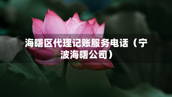 海曙区代理记账服务电话（宁波海曙公司）