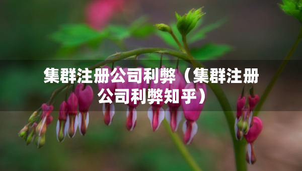 集群注册公司利弊（集群注册公司利弊知乎）