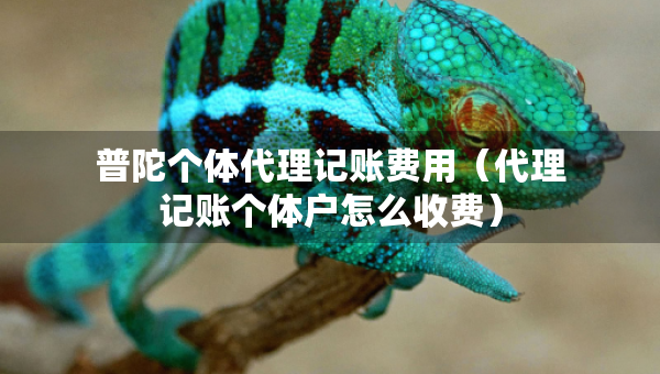 普陀个体代理记账费用（代理记账个体户怎么收费）