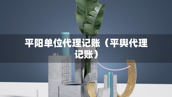 平阳单位代理记账（平舆代理记账）