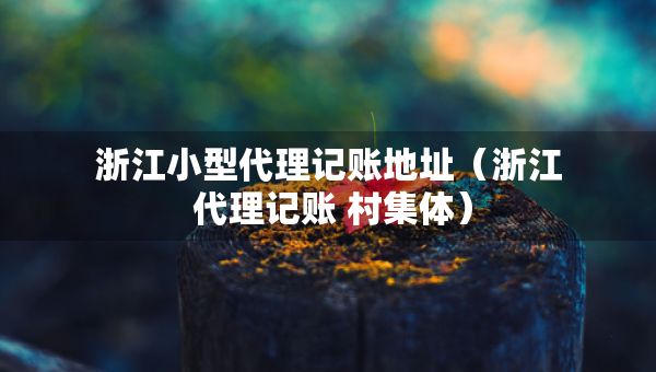 浙江小型代理记账地址（浙江 代理记账 村集体）