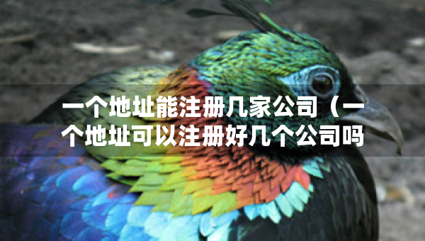 一个地址能注册几家公司（一个地址可以注册好几个公司吗）