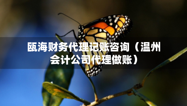 瓯海财务代理记账咨询（温州会计公司代理做账）