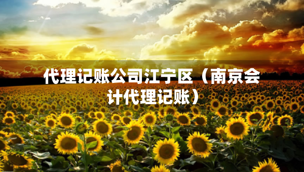 代理记账公司江宁区（南京会计代理记账）