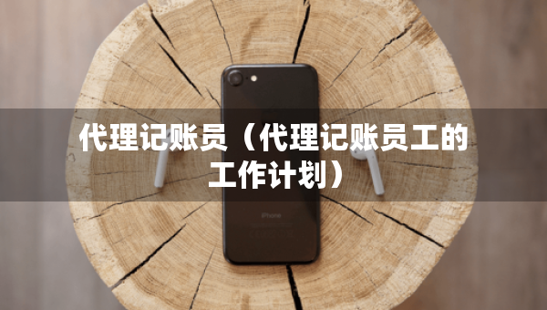 代理记账员（代理记账员工的工作计划）