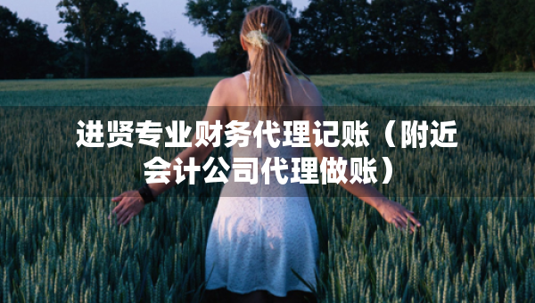 进贤专业财务代理记账(附近会计公司代理做账) 进贤专业财务代理记账(附近会计公司代理做账)