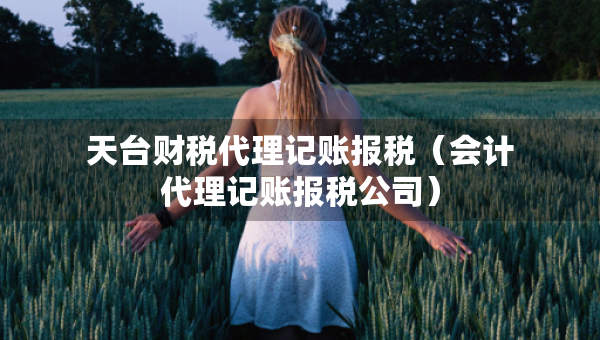 天台财税代理记账报税（会计代理记账报税公司）