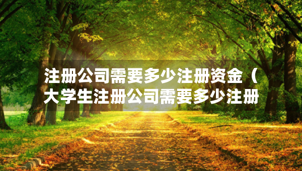 注册公司需要多少注册资金（大学生注册公司需要多少注册资金）