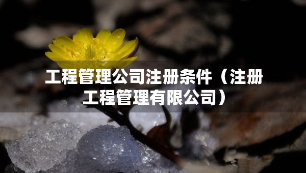 工程管理公司注册条件（注册工程管理有限公司）