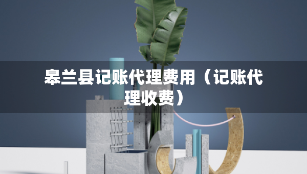 皋兰县记账代理费用（记账代理收费）