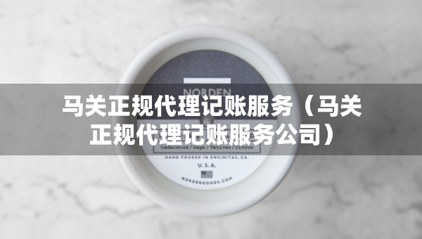 马关正规代理记账服务（马关正规代理记账服务公司）