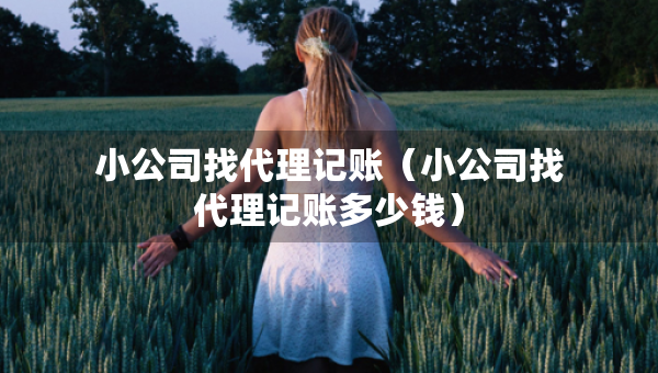 小公司找代理记账（小公司找代理记账多少钱）