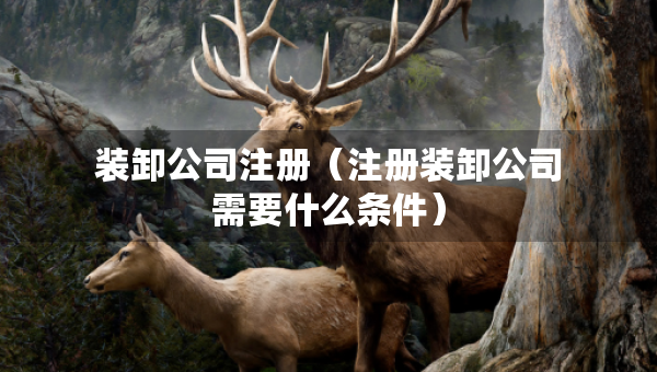 装卸公司注册（注册装卸公司需要什么条件）