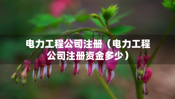 电力工程公司注册（电力工程公司注册资金多少）