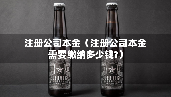 注册公司本金（注册公司本金需要缴纳多少钱?）