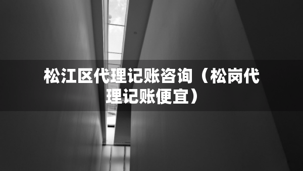 松江区代理记账咨询（松岗代理记账便宜）