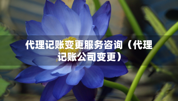 代理记账变更服务咨询（代理记账公司变更）