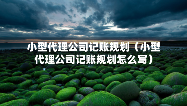 小型代理公司记账规划（小型代理公司记账规划怎么写）