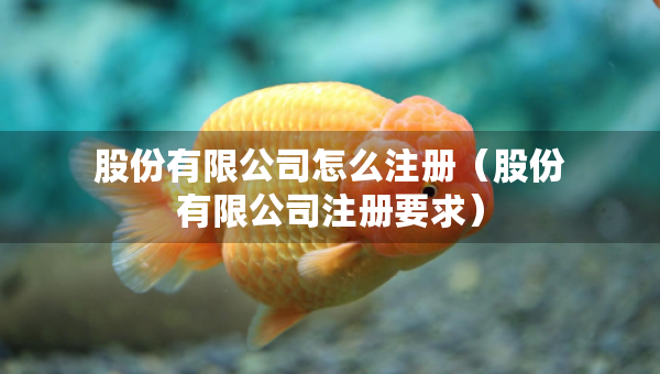 股份有限公司怎么注册（股份有限公司注册要求）