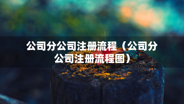 公司分公司注册流程（公司分公司注册流程图）