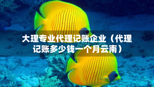 大理专业代理记账企业（代理记账多少钱一个月云南）