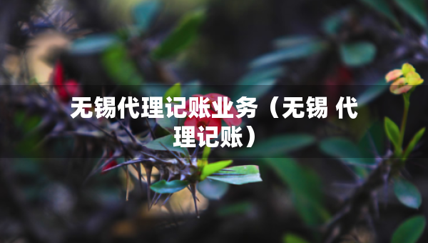 无锡代理记账业务（无锡 代理记账）