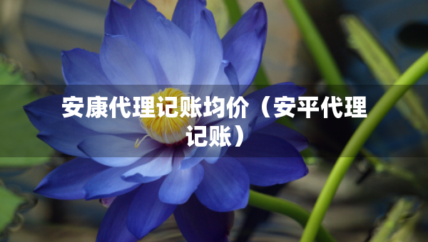 安康代理记账均价（安平代理记账）