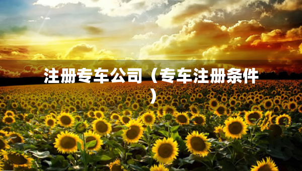 注册专车公司（专车注册条件）